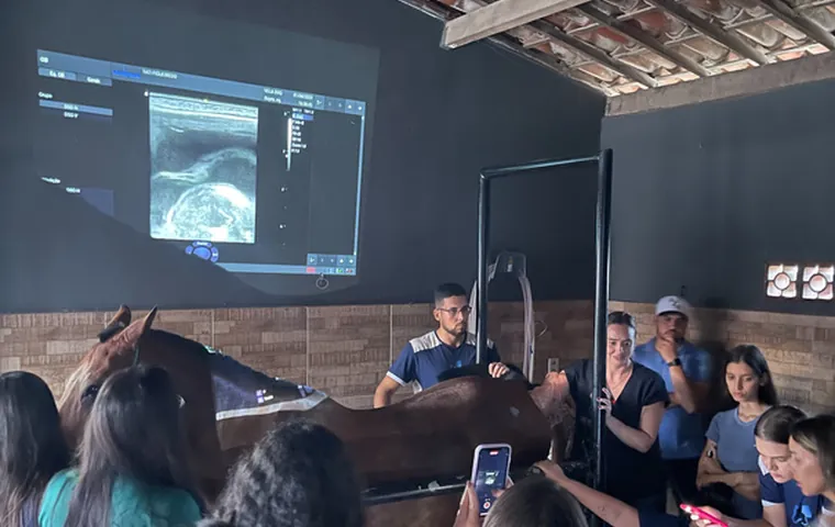 Aula de monitoramento gestacional com ultrassom projetado
